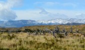 Patagonie-2019